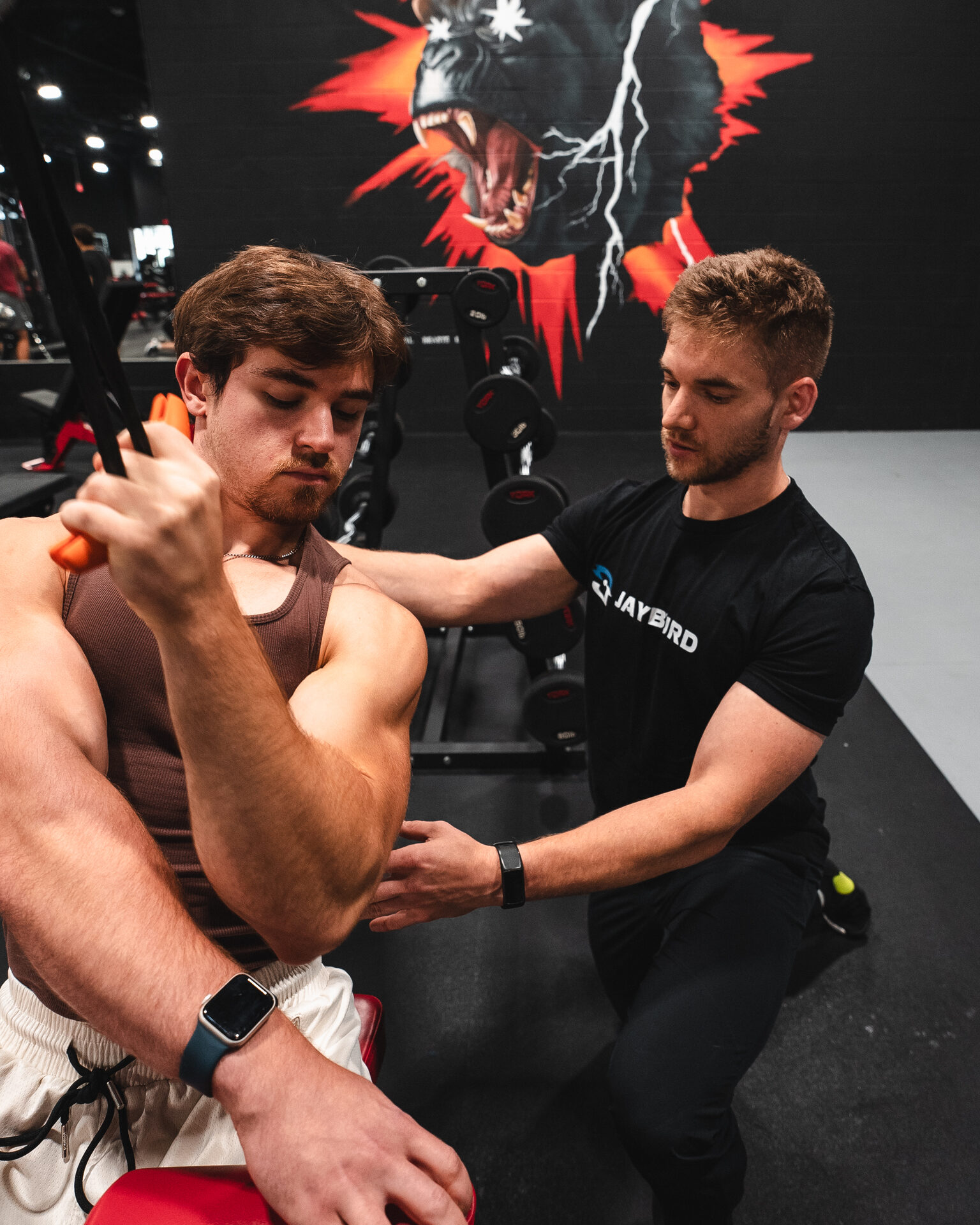 Reassessing a lifter's movement
